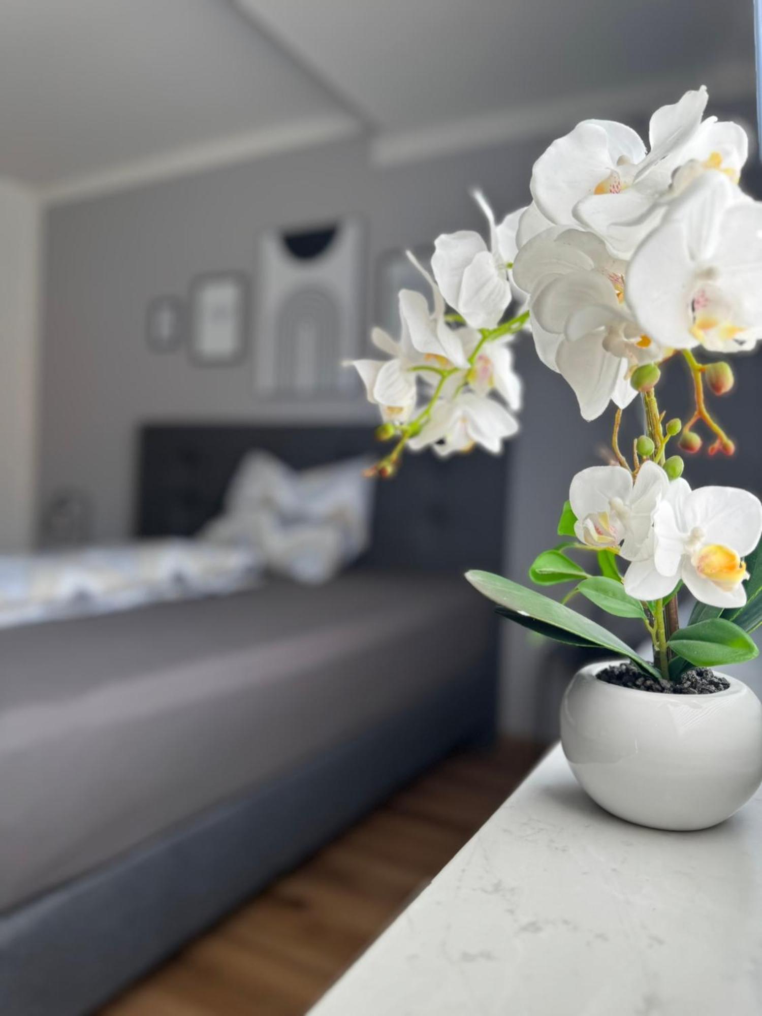 Ferienhaus Hunsrueckliebe Liederbach  المظهر الخارجي الصورة